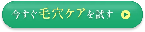 今すぐ毛穴ケアを試す